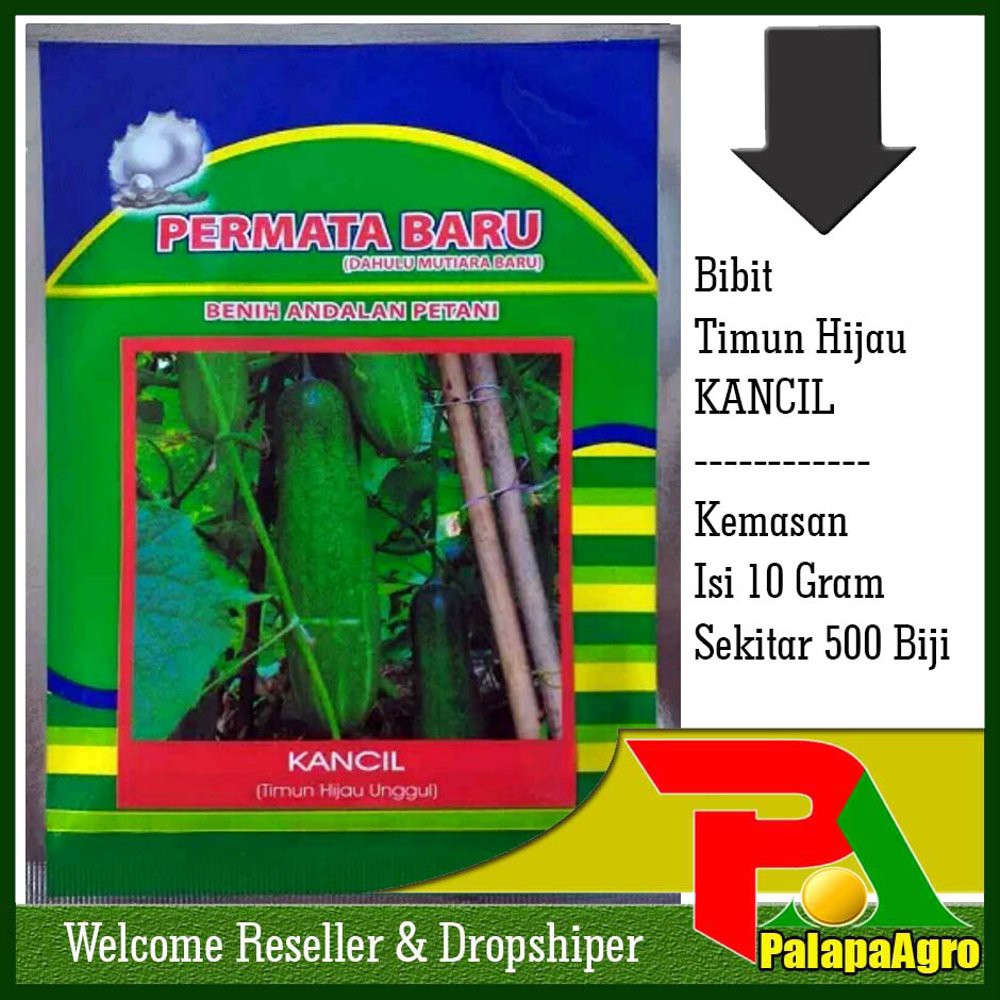 Benih TIMUN KANCIL Lalap-Bibit Timun Lalap Diskon