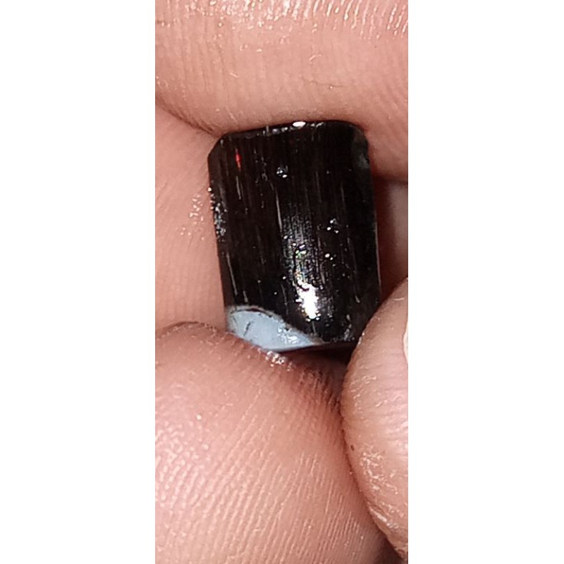 promo paket sisit ruyung jarong jos 50 ribu 2 pcs + bonus