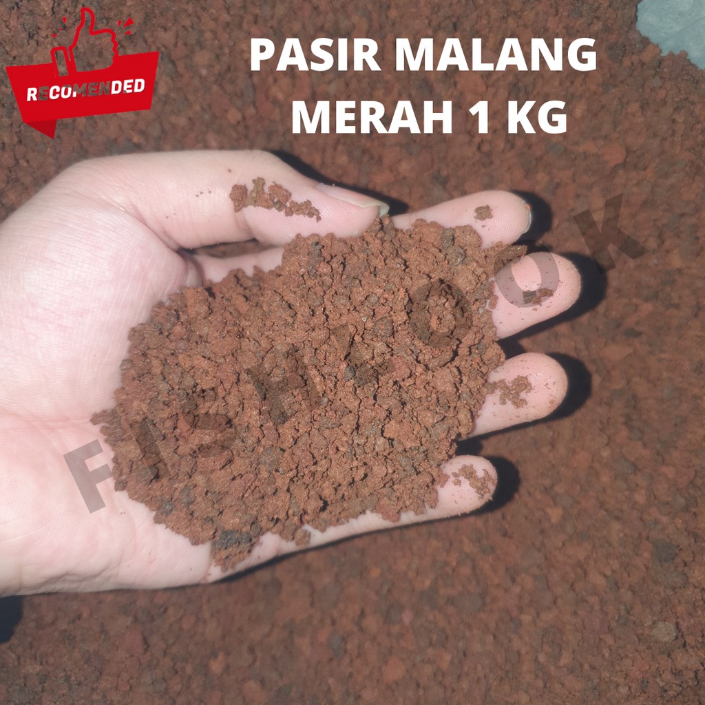 PASIR MALANG MERAH MEDIA TANAM AQUASCAPE 1 Kg KASAR