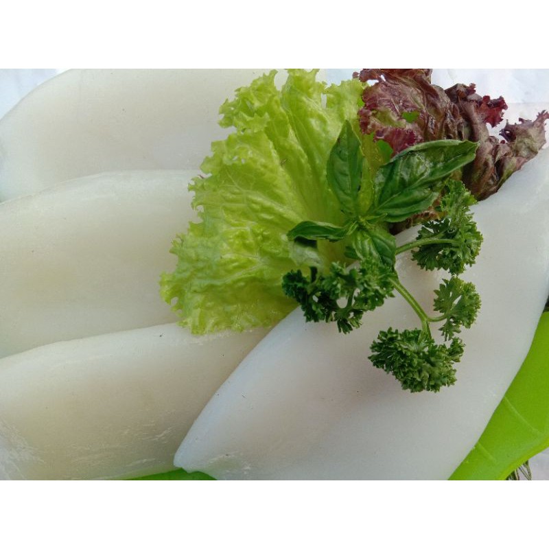 cumi kupas squid tube calamarie cumi cumi kupas tanpa tulang dan kulit berkualitas harga promo