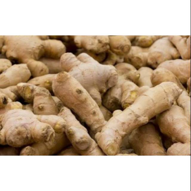 

Jahe Emprit Organik 200gr