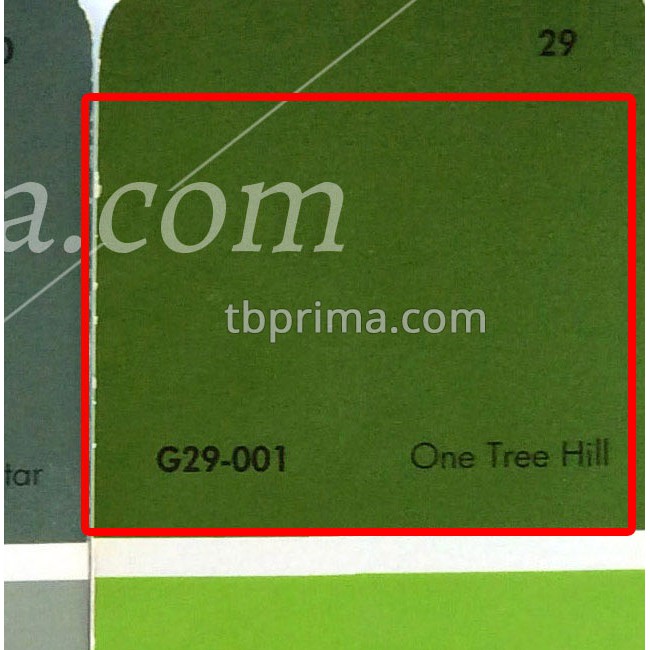 No Drop Tinting G29-001 One Tree Hill 1 kg