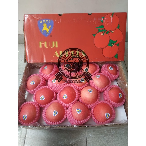 

Apel Fuji SSCT Horse Premium 1 Dus (13 Kg) Fresh Import
