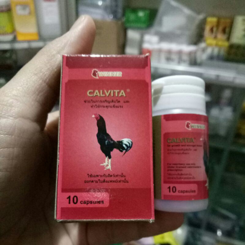 CALVITA WINNER
