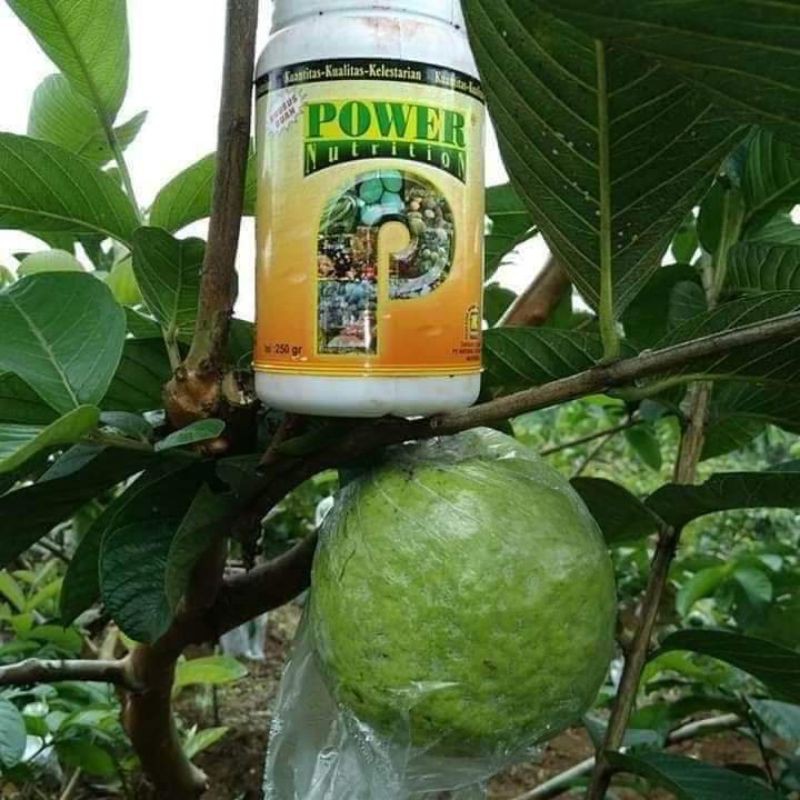 Power Nutrition Nasa