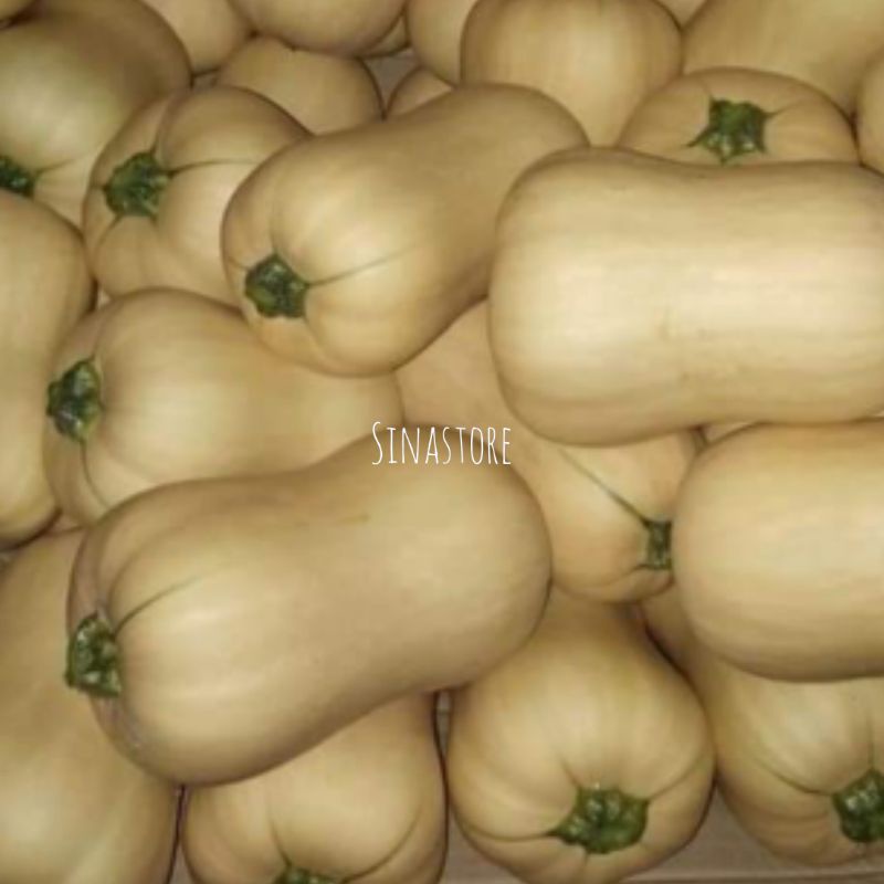 

Labu Madu/Butternut Jacquelin