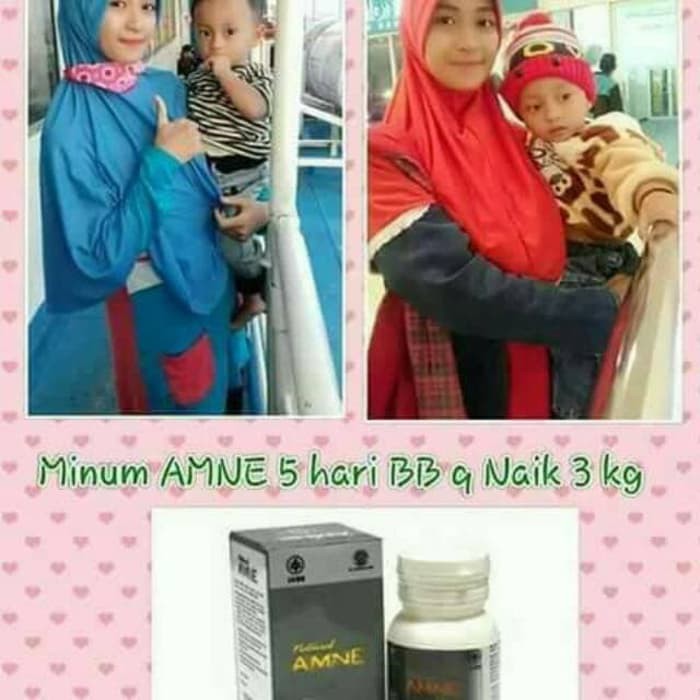 Penggemuk Badan Natural AMNE NASA ORIGINAL BPOM