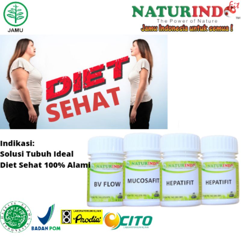 

paket spesial khusus untuk yg mw program DIET aman dengan peluang berhasilnya 95%. paket herbal naturindo