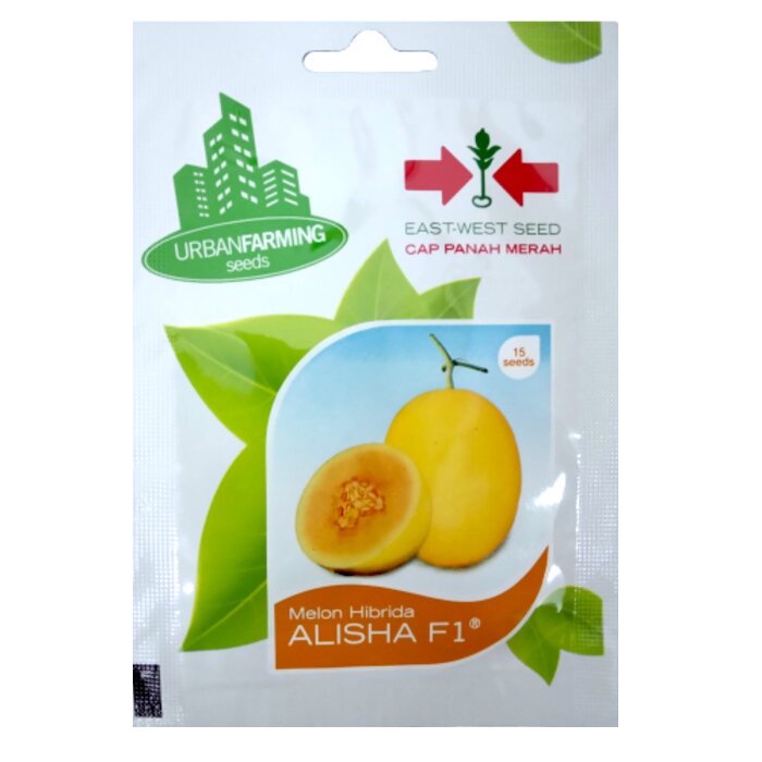 Benih Biji Bibit Buah Melon Golden Kuning Hibrida Alisha Panah Merah