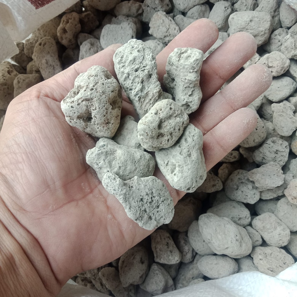 Batu Apung Pumice Stone Media Filter Aquarium 500gr