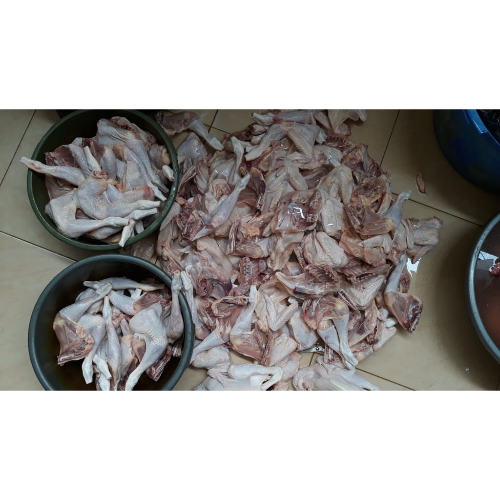 

Ayam Pejantan/Kalasan [PROMO Beli 5 gratis 1, semua ukuran]