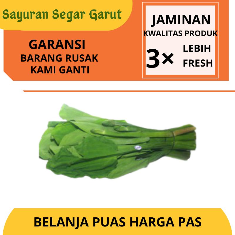 

Sayur Genjer Hijau Super Segar Fresh Murah per 1 Ikat by Sayuran Segar Garut