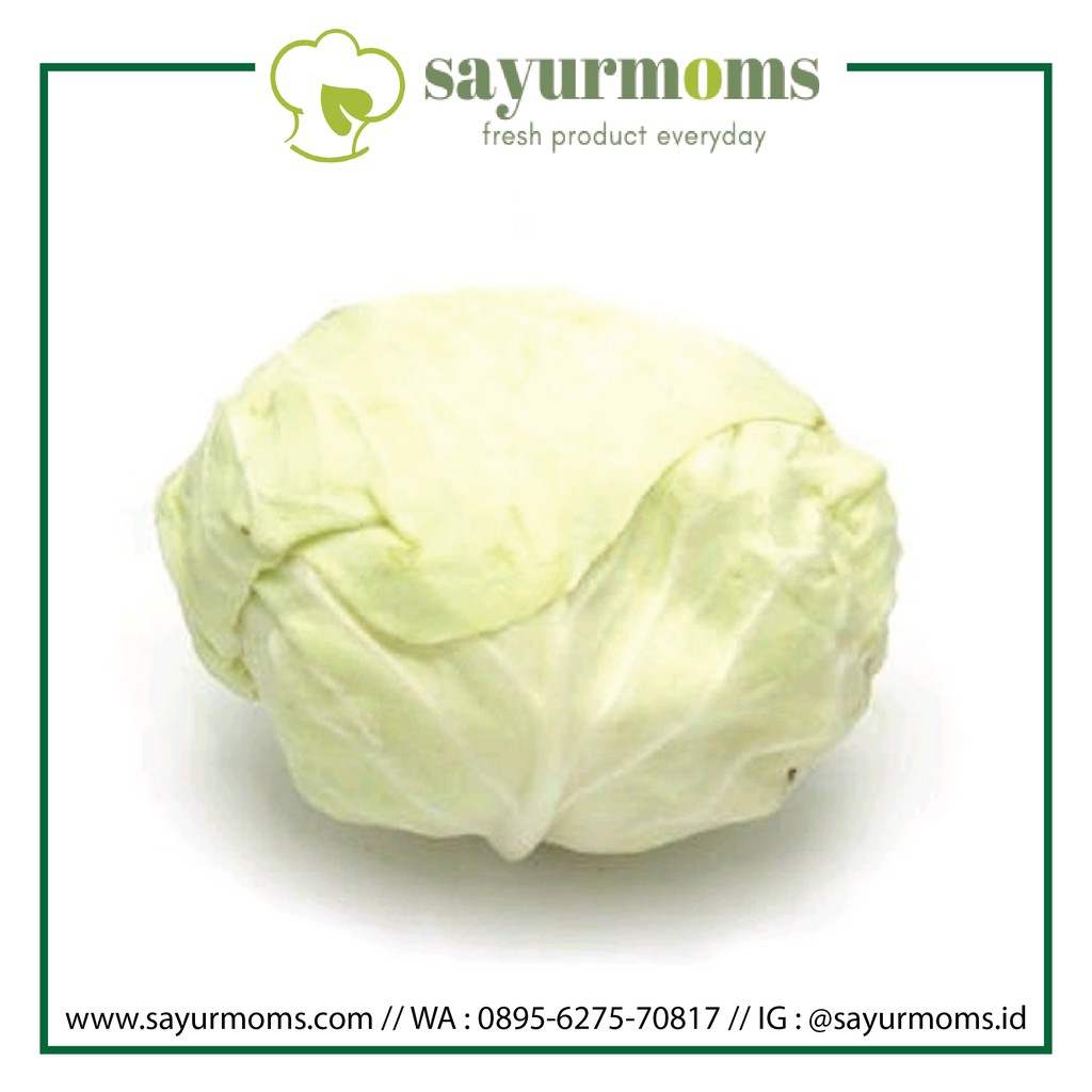 

Kol Putih 500 gram - 1 kg Surabaya