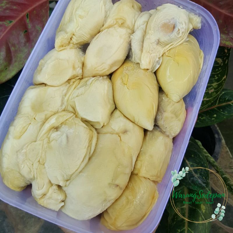 

Durpas Durian Kupas Sidikalang Beku Sibolga Durian Frozen Durian Medan Duren Beku Durian Kupas Cikarang