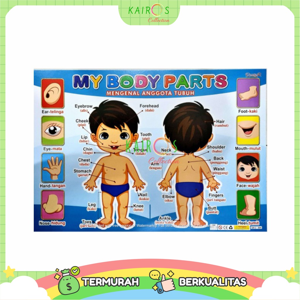 Poster Edukasi Anak My Body Parts Mengenal Anggota Tubuh