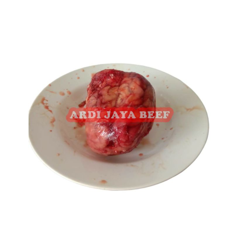 

Otak Sapi Segar 1 pcs