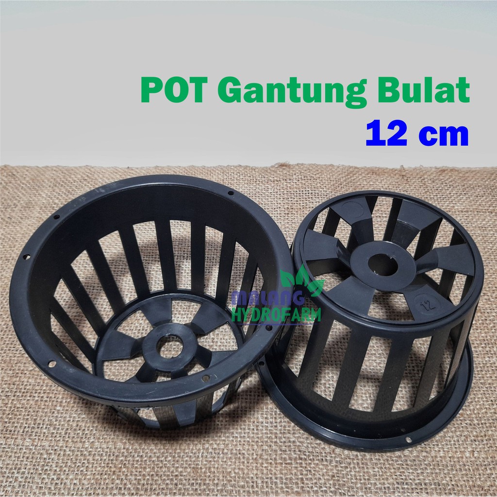 POT gantung bulat 12 hitam anggrek remaja dewasa dendrobium catlteya