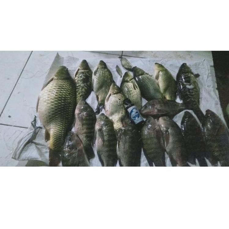 Go Strike Essen Mancing Paling Gacor ▫ SK.122409