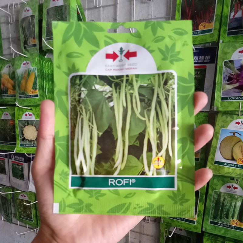 Benih Buncis Biji Putih Rofi Isi 225biji