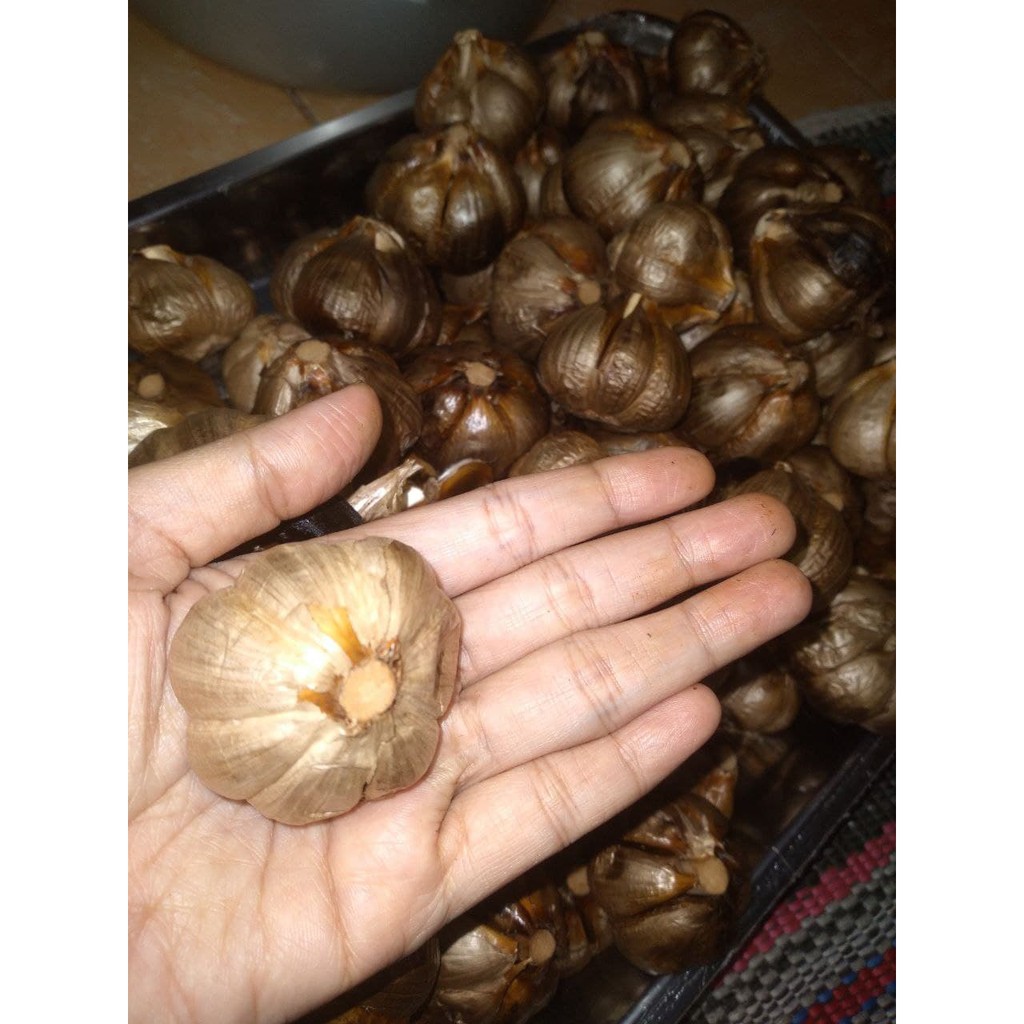 

BLACK GARLIC-Bawang Hitam BONGGOLAN