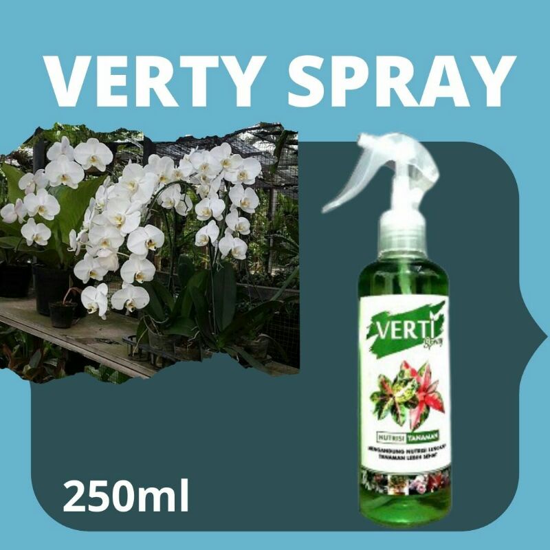 Pupuk Anggrek Cymbidium,Pupuk Anggrek Cattleya,Pupuk Pertumbuhan Anggrek