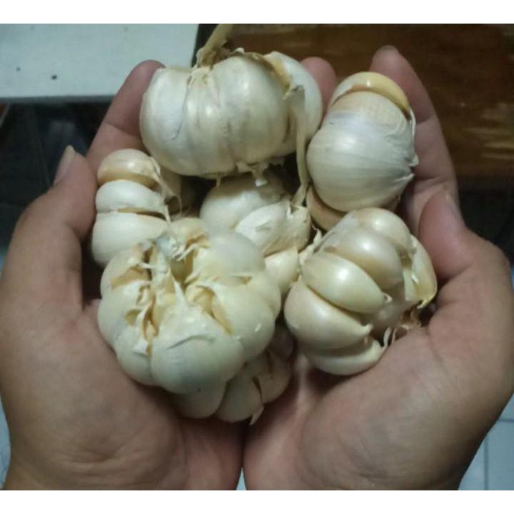 

Bawang putih kecil Sinco Termurah 100 250 500 gram 1 kilogram