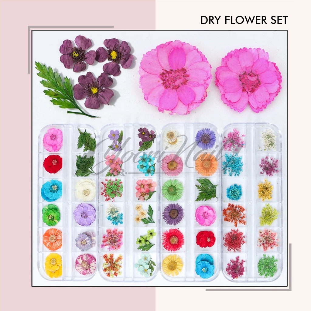 Dry Flower 12 warna bunga kering 7 Warna nail art mini dry flower kuku