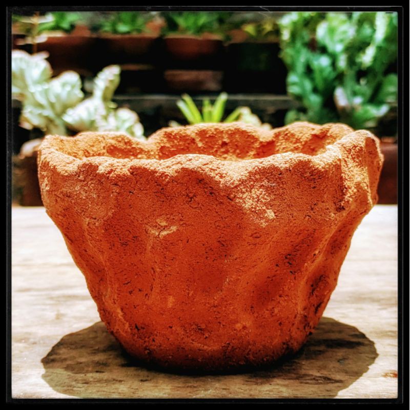 Pot Tanaman Kaktus Sekulen Teracota Terracota Tanah Liat Gerabah Bentuk Abstrak Sedang Murah