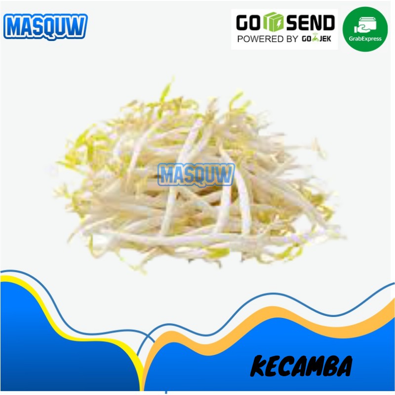 

KECAMBAH / TAUGE / CAMBAH PANJANG PENDEK RAWON SAYUR / SAYURAN FRESH SEGAR SIDOARJO