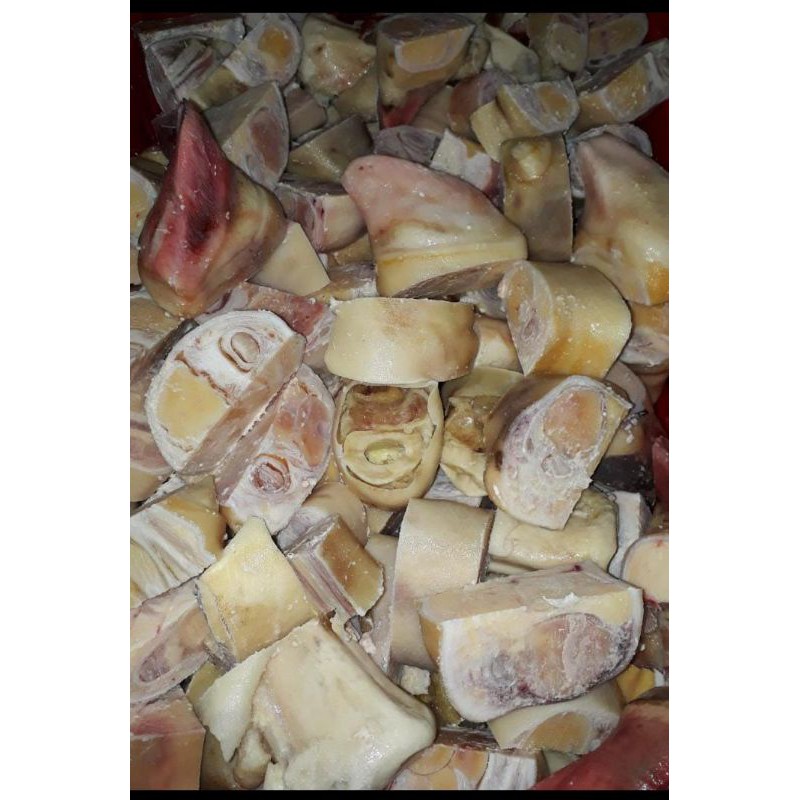 

tunjang kaki sapi premium