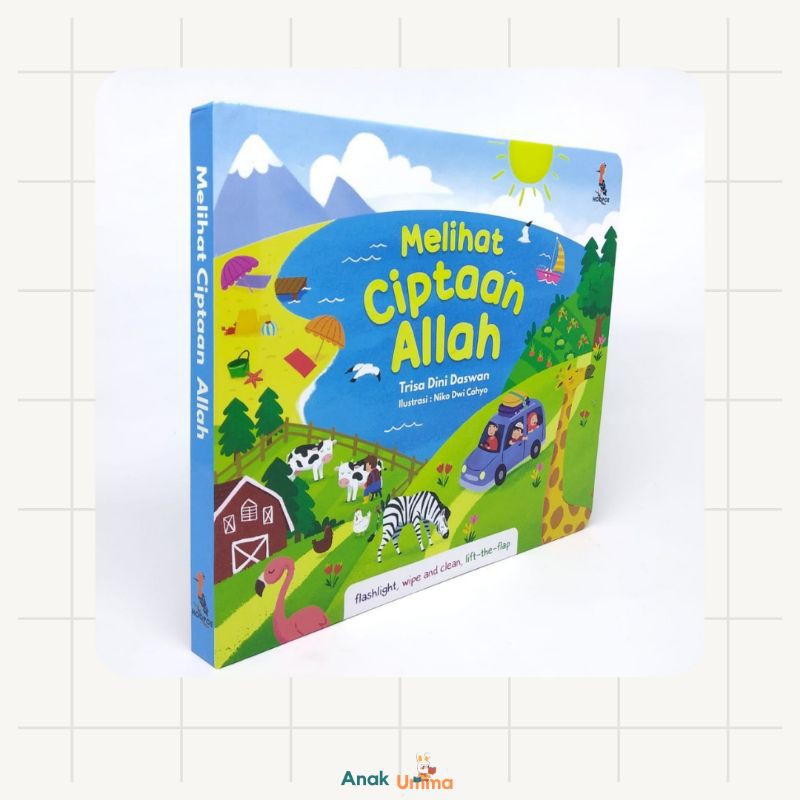 Buku Melihat Ciptaan Allah Buku Anak Melihat Ciptaan Allah Hoopoe