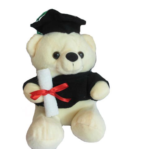 Spicegift Boneka  Teddy Bear Beruang Wisuda Duduk  