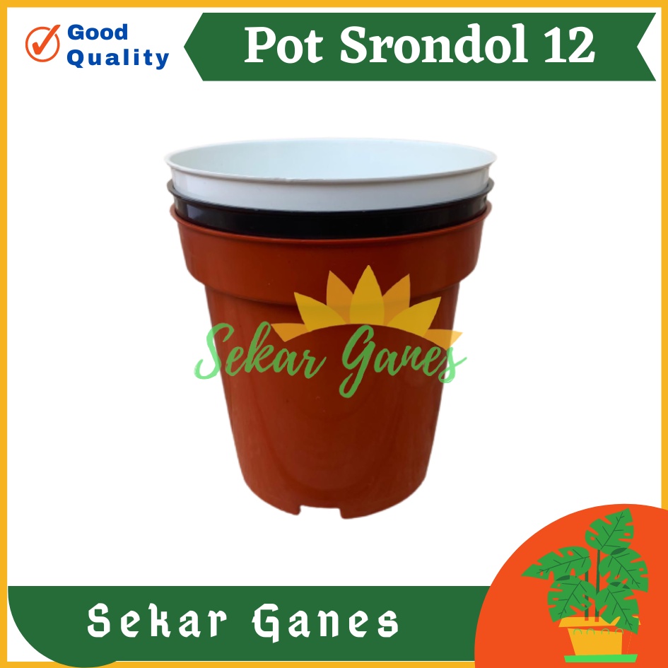 LUSINAN 12PCS Pot Tinggi Srondol 12 Putih Hitam Merah Bata Terracotta Coklat - Pot Tinggi Usa Effiel 18 20 25 Lusinan Pot Tinggi Tirus 15 18 20 30 35 40 50 Cm Pot Bunga Plastik Lusinan Pot Tanaman Termurah Bahan Bagus Pot Bunga