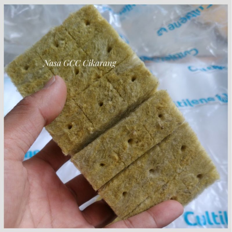 ROCKWOOL CULTILENE HIDROPONIK SIAP PAKAI SUDAH DI LUBANGI