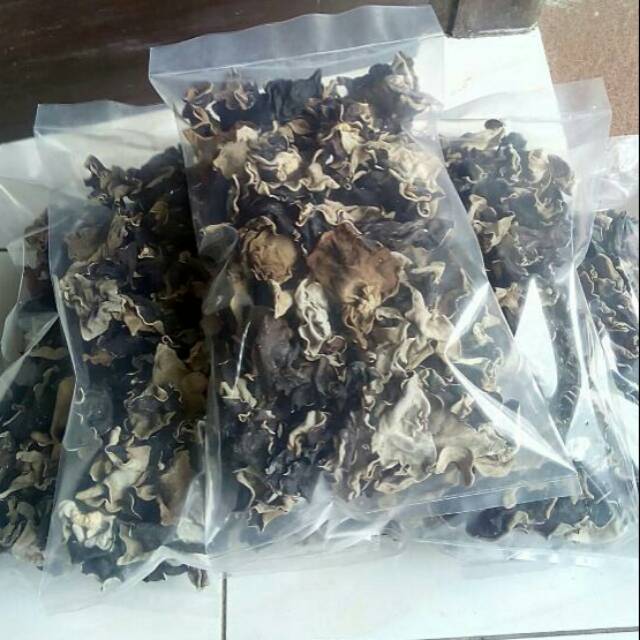 

JAMUR KUPING KERING/MUSHROOM