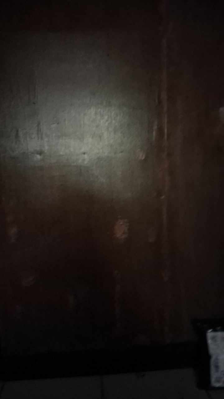 Karbol Ekonomis Anti Bakteri 5 Liter