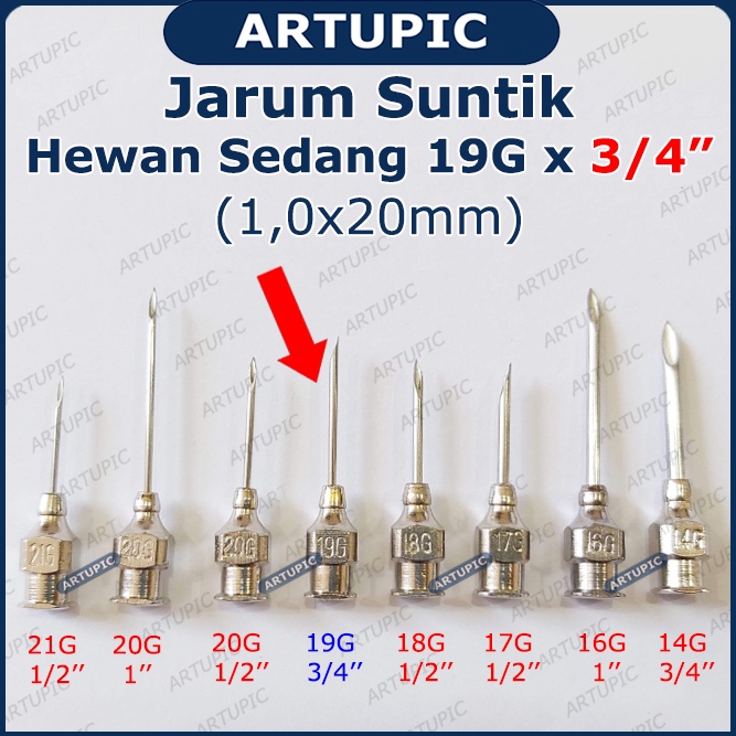 Jarum Suntik Hewan Sedang 19G x 3/4 inch Vaksin Ternak Kambing Domba Anjing Kucing Vet Needle Stainless Steel