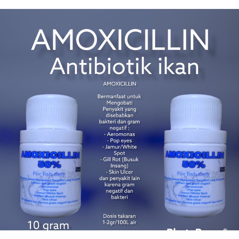 amoxillin BOTOL antibiotik ikan obat ikan 10 gram