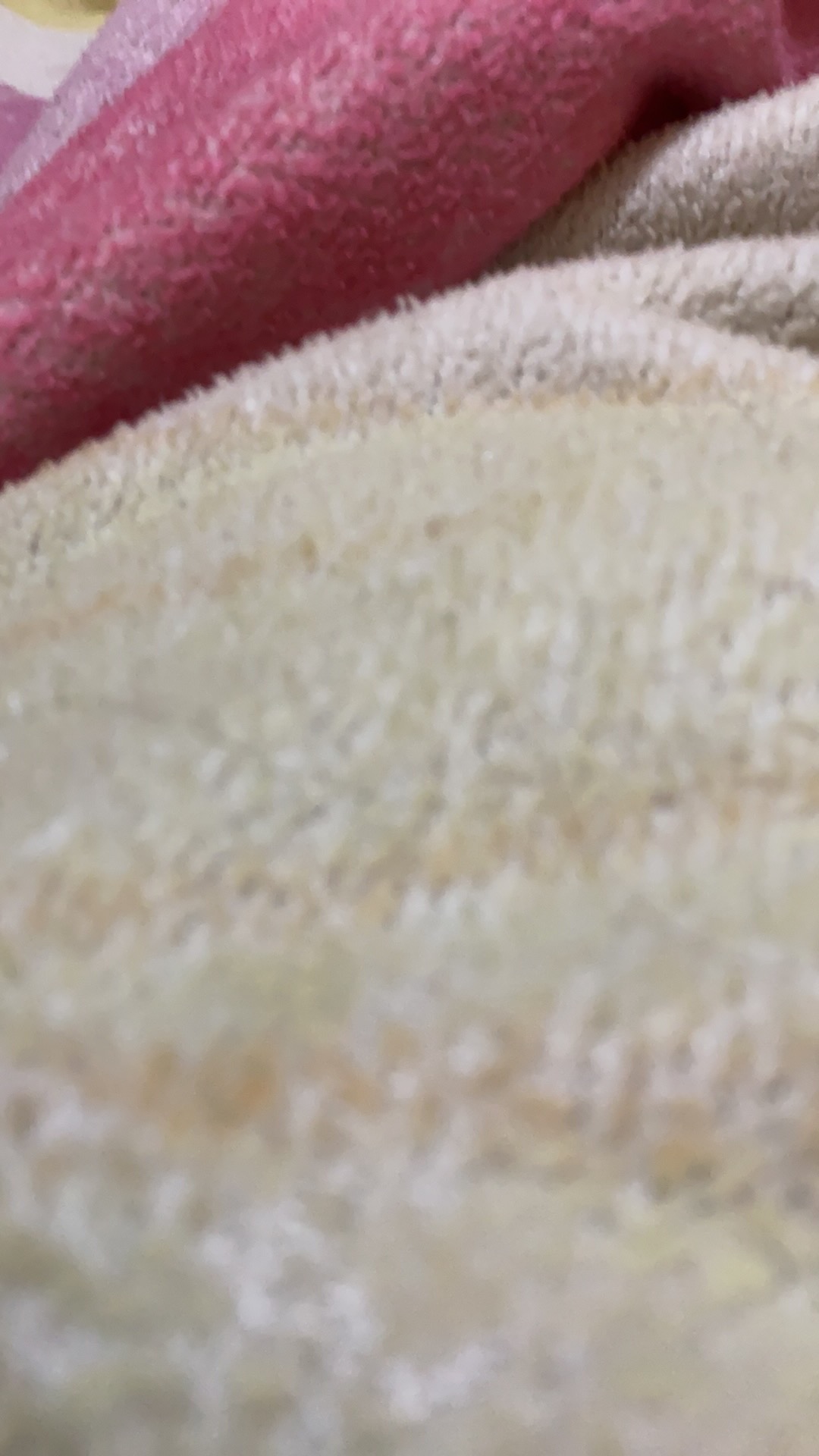 Standing Pouch Seal Zippered Biasa