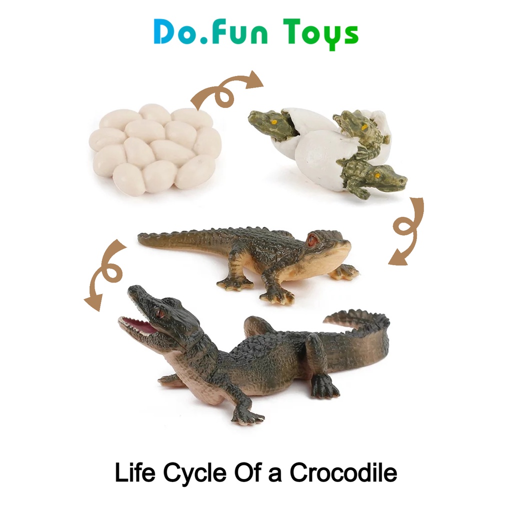 Jual Animal Figure Life Cycle of a Crocodile / Siklus Hidup Binatang