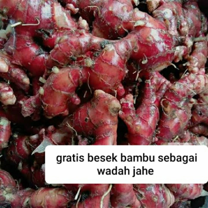 

jahe merah segar 1 kg (BERKUALITAS)