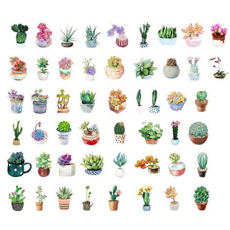 Label Stickers - Succulent Dish (50pcs )