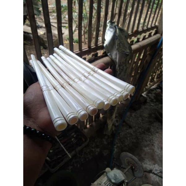 once pipa tulang sapi asli/once 20 cm/once iga duyung/once kekinian