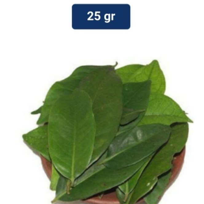 

DAUN SALAM SEGAR LANGSUNG PETIK DARI POHON 25G