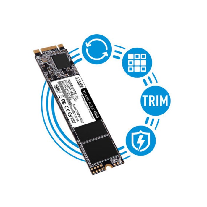 Team SSD sata M.2 2280 MS30 256GB - 256 GB M2 Sata 3 TM8S7256G0C101