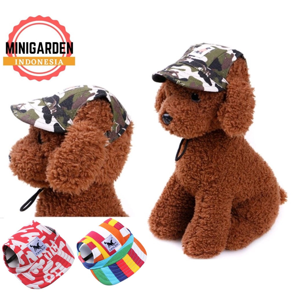 TOPI ANJING SPORTY topi hewan topi kucing pet hat topi baseball