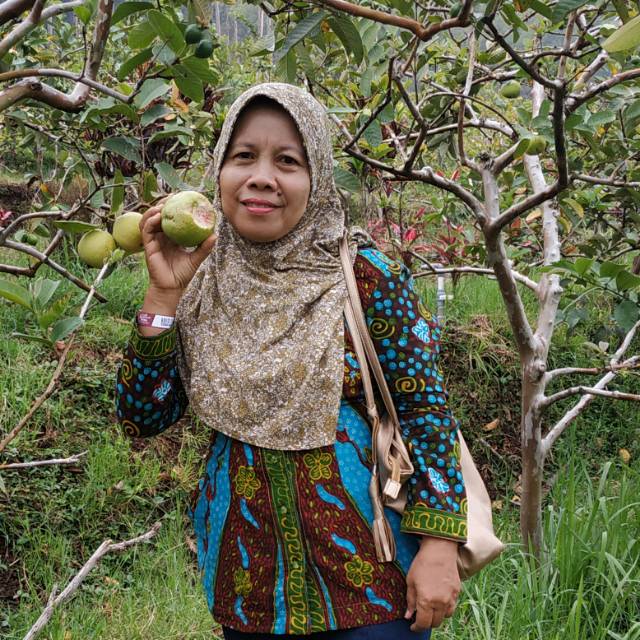 indrianaceuemandja.ndot