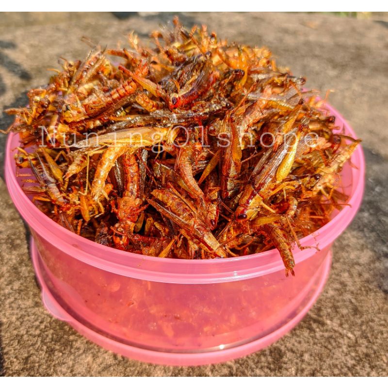 

BELALANG GORENG GURIH TIDAK PEDAS kemasan toples warna