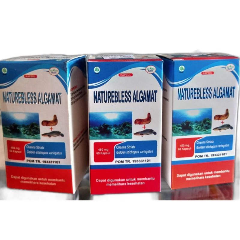 Algamat ekstrak Gamat dan ikan gabus (ikan kutuk) kemasan baru (slide ke 2)