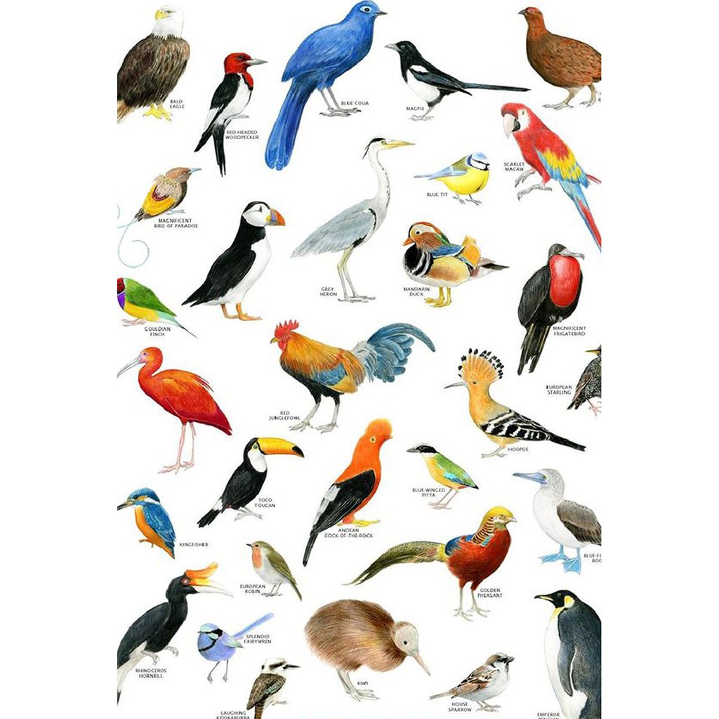 pusatmode Hiasan Dinding Animal Art Size 15x30 &amp; 20x30 cm